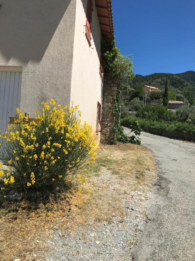 La Ferme Des Cailletiers Chez Marco Villa Lucéram Buitenkant foto